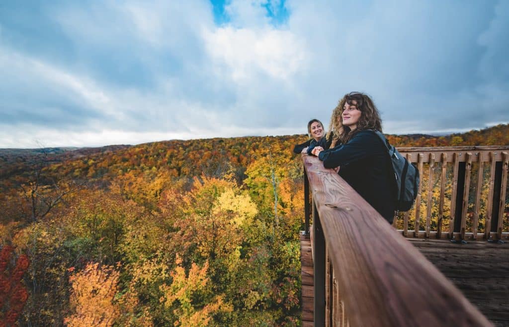 LD-@Richere-David-Parc-des-Montagnes-Noires-de-Ripon-2-1